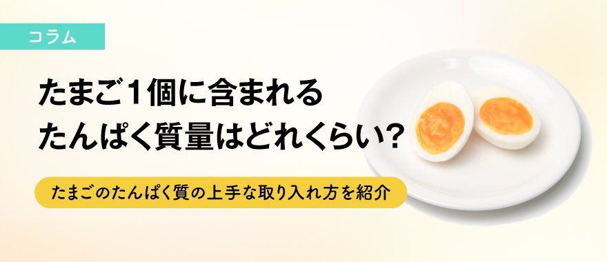 たまご1個に含まれるたんぱく質量はどれくらい？たまごのたんぱく質の上手な取り入れ方を紹介