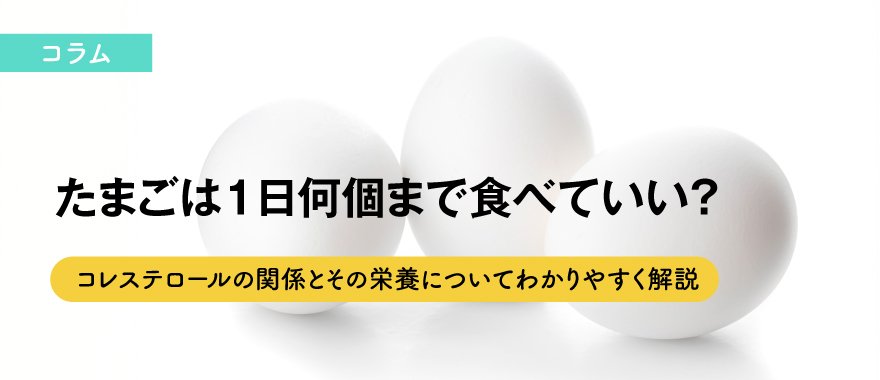 たまごは1日何個まで食べていい？ コレステロールの関係とその栄養についてわかりやすく解説