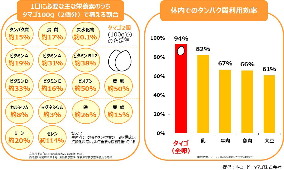 栄養豊富で手軽に食べられる食材